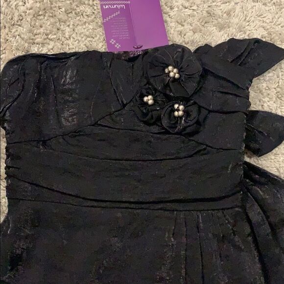 🎀nwt Lulumari Organza tube dress🎀 - Picture 2 of 4